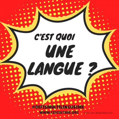 defis langue