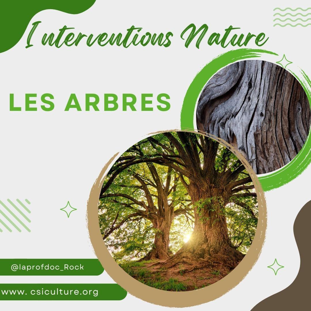arbres