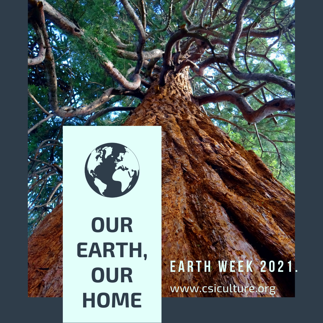 Jour de la terre